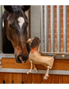 Jouet pour cheval Dackel Dieter - Waldhausen 2