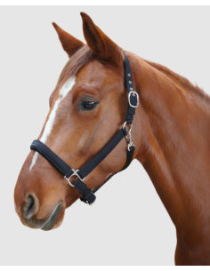 Licol Laguna - Flags&Cup