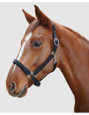 Licol Laguna - Flags&Cup