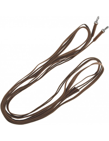 Longues rênes sangle/corde - Canter