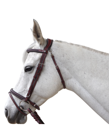 Bridon Aachen - Flags&Cup