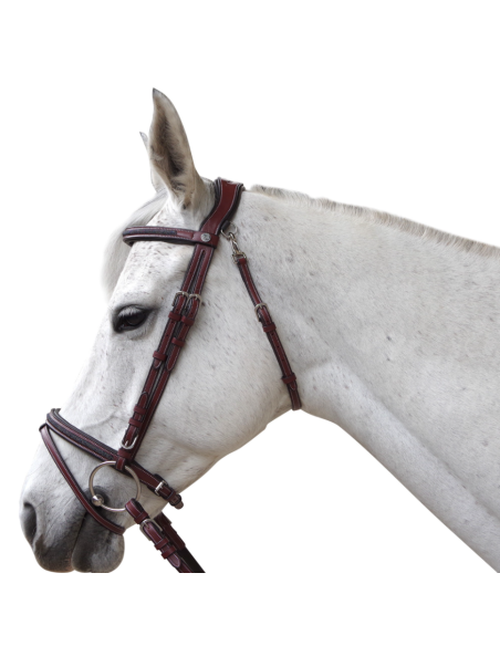 Bridon Aachen - Flags&Cup