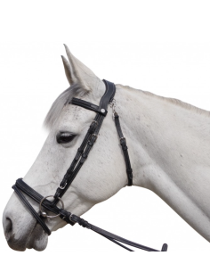 Bridon Aachen - Flags&Cup