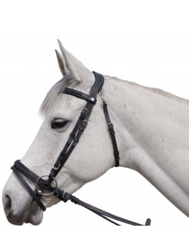 Bridon Aachen - Flags&Cup