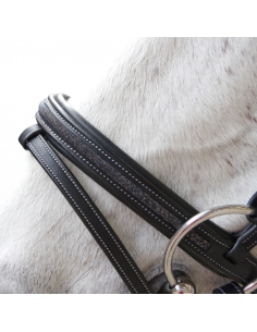 Bridon Aachen - Flags&Cup 2