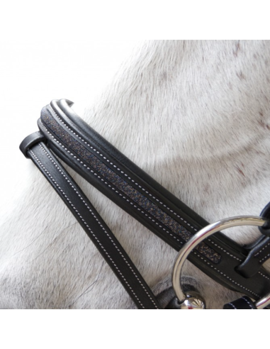 Bridon Aachen - Flags&Cup