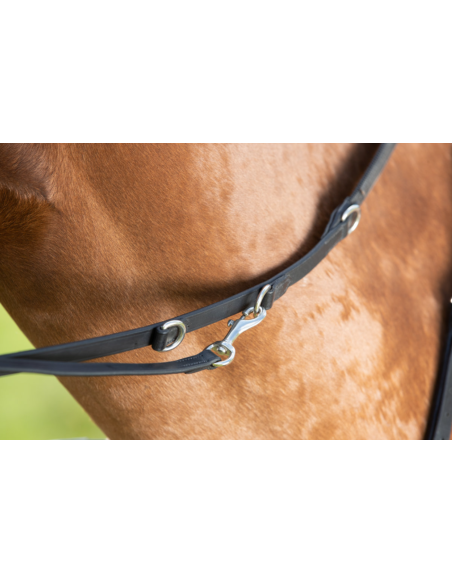 Rênes Thiedeman/Howlett - HFI