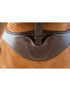 Sangle Anatomique avec Aimants - HFI 2