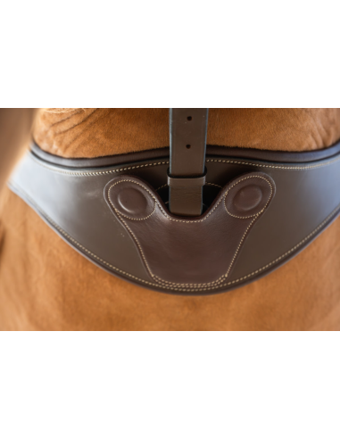 Sangle Anatomique avec Aimants - HFI