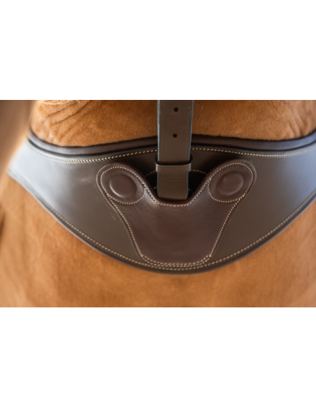 Sangle Anatomique avec Aimants - HFI