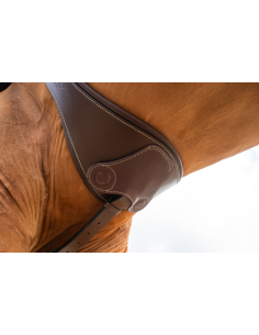 Sangle Anatomique avec Aimants - HFI