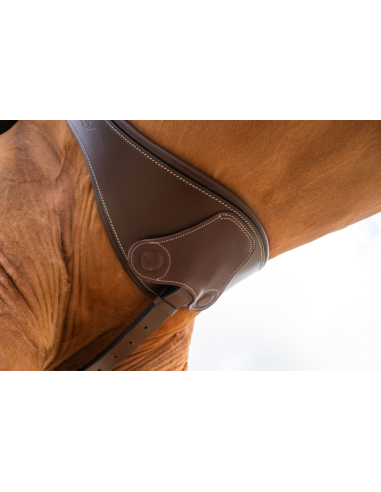 Sangle Anatomique avec Aimants - HFI