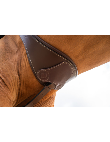 Sangle Anatomique avec Aimants - HFI