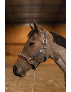 Licol Cuir & Nylon Mixed - HFI