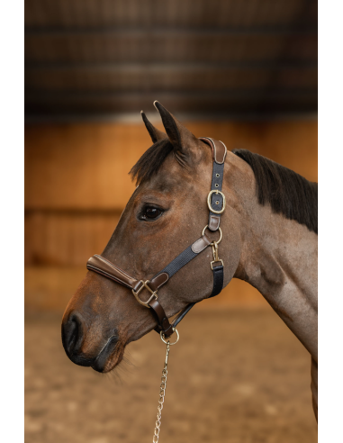 Licol Cuir & Nylon Mixed - HFI