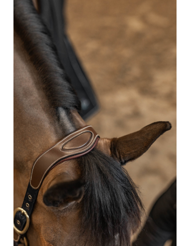 Licol Cuir & Nylon Mixed - HFI