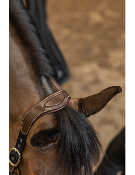 Licol Cuir & Nylon Mixed - HFI