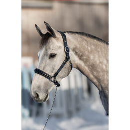 Licol Cuir & Nylon Mixed - HFI