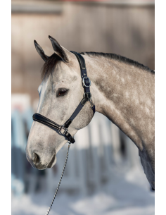 Licol Cuir & Nylon Mixed - HFI 2