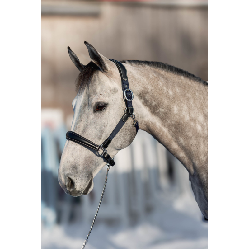 Licol Cuir & Nylon Mixed - HFI