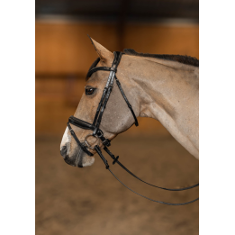 Bridon Pull-Back Verona - HFI