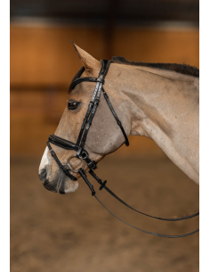 Bridon Pull-Back Verona - HFI 2