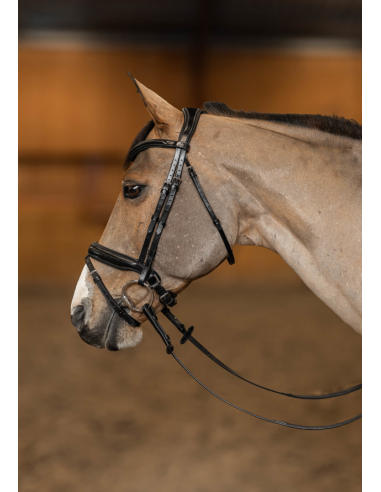 Bridon Pull-Back Verona - HFI