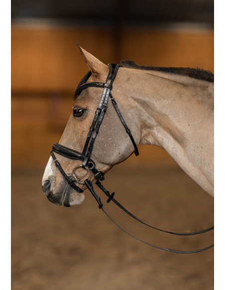 Bridon Pull-Back Verona - HFI