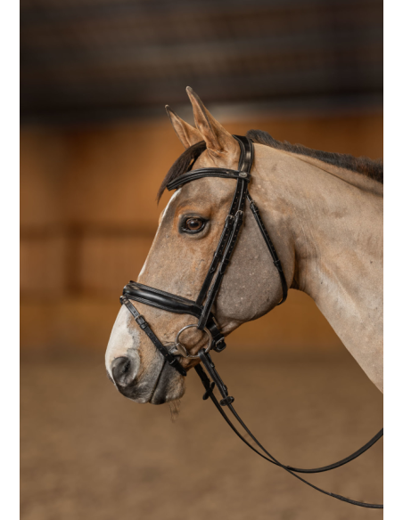 Bridon Pull-Back Verona - HFI