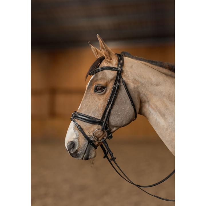 Bridon Pull-Back Verona - HFI