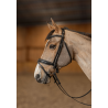 Bridon Pull-Back Verona - HFI