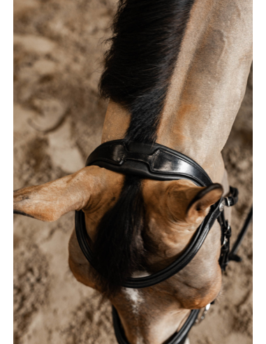 Bridon Pull-Back Verona - HFI