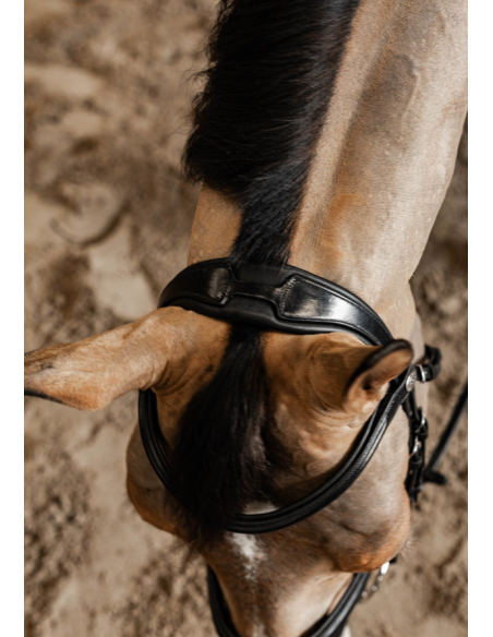 Bridon Pull-Back Verona - HFI