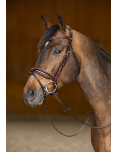 Bridon Pull-Back Verona - HFI