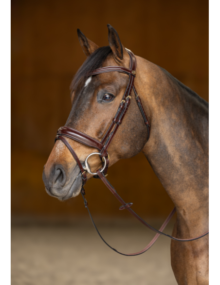 Bridon Pull-Back Verona - HFI