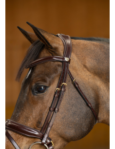 Bridon Pull-Back Verona - HFI 2