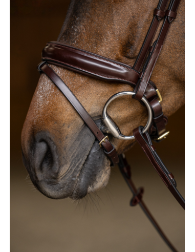 Bridon Pull-Back Verona - HFI