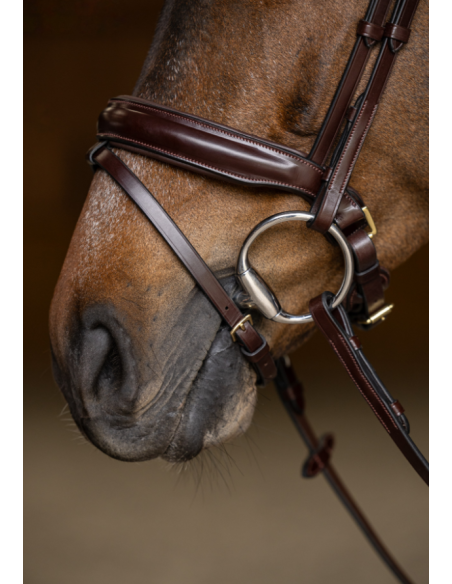 Bridon Pull-Back Verona - HFI
