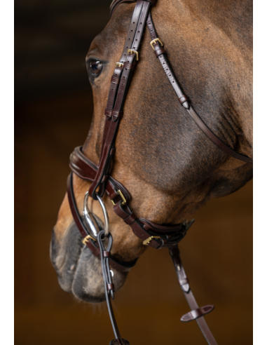 Bridon Pull-Back Verona - HFI