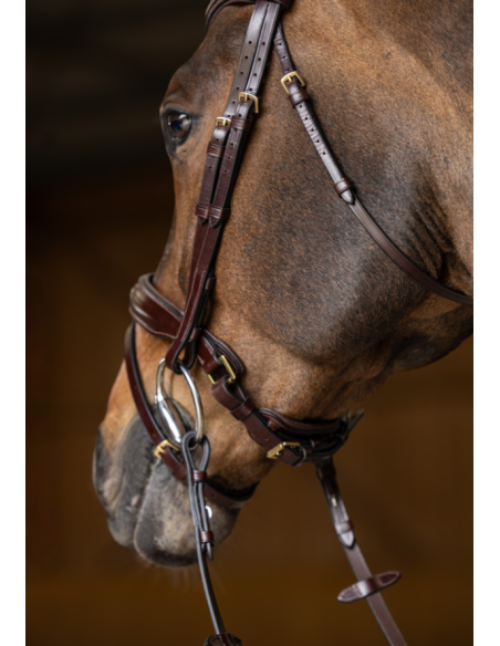 Bridon Pull-Back Verona - HFI