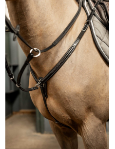 Collier de chasse Arezzo - HFI