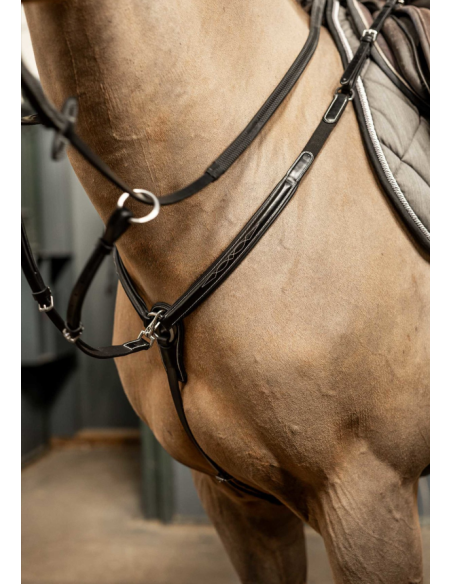 Collier de chasse Arezzo - HFI