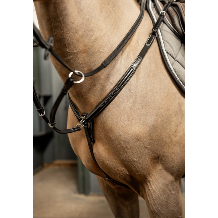 Collier de chasse Arezzo - HFI