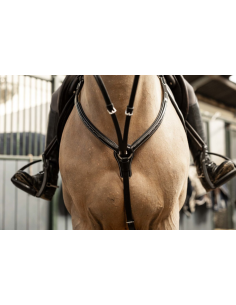 Collier de chasse Arezzo - HFI 2