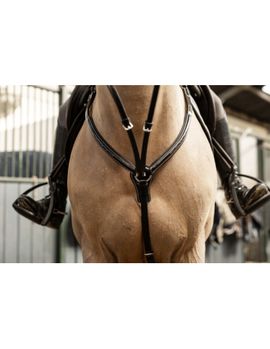 Collier de chasse Arezzo - HFI