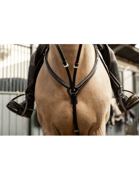 Collier de chasse Arezzo - HFI