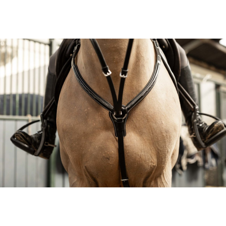 Collier de chasse Arezzo - HFI