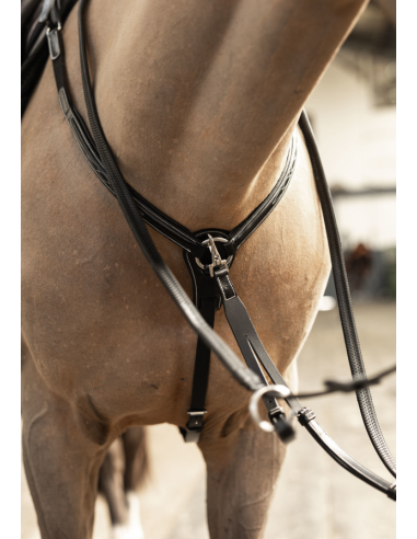 Collier de chasse Arezzo - HFI