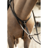 Collier de chasse Arezzo - HFI