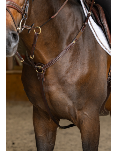 Collier de chasse Arezzo - HFI 2